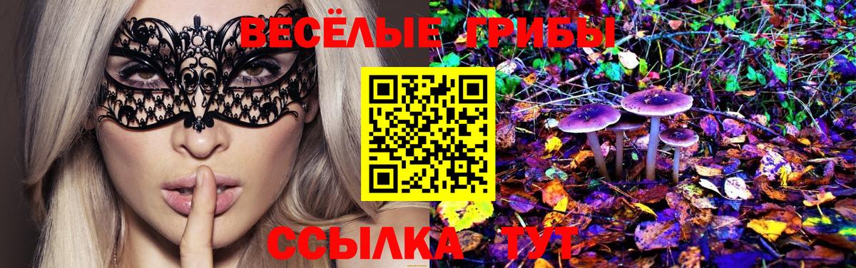 Галлюциногенные грибы Magic Shrooms  Вход с VPN  Орехово-Зуево 